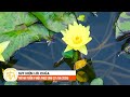 Suy Niệm Lời Chúa | Thứ Hai Tuần IV Mùa Phục Sinh (27/04/2026)