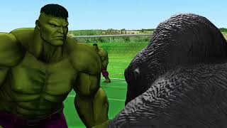 Hulk VS Gorilla Football Match 01 | Gorilla With Hulk Funny Football Match | Hulk & Gorilla Cartoons