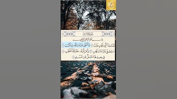 سورة المسد بصوت القارئ حسام الدين عبادي