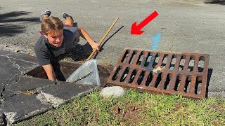 I CAUGHT THE SEWER MONSTER ! WHAT IS IT ??