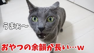 時間をかけておやつをゆっくり味わう猫ｗ