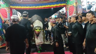 Download lagu Keganasan Macan Macanan Barong Tresno Budoyo Kemiren live delik Bunderan 