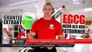 Egcg - Fatburner Aus Grüntee Extrakt - Supplement-Ratgeber
