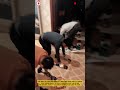Knee Kicker Carpet Tool Improves Carpet Tension and Accurate Edge Positioning