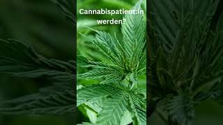 Cannabispatient:in werden und legal Cannabis als Medizin nutzen 