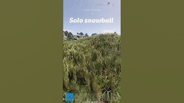 Solo snowball #rust #rustconsoleedition #rustconsole #gaming