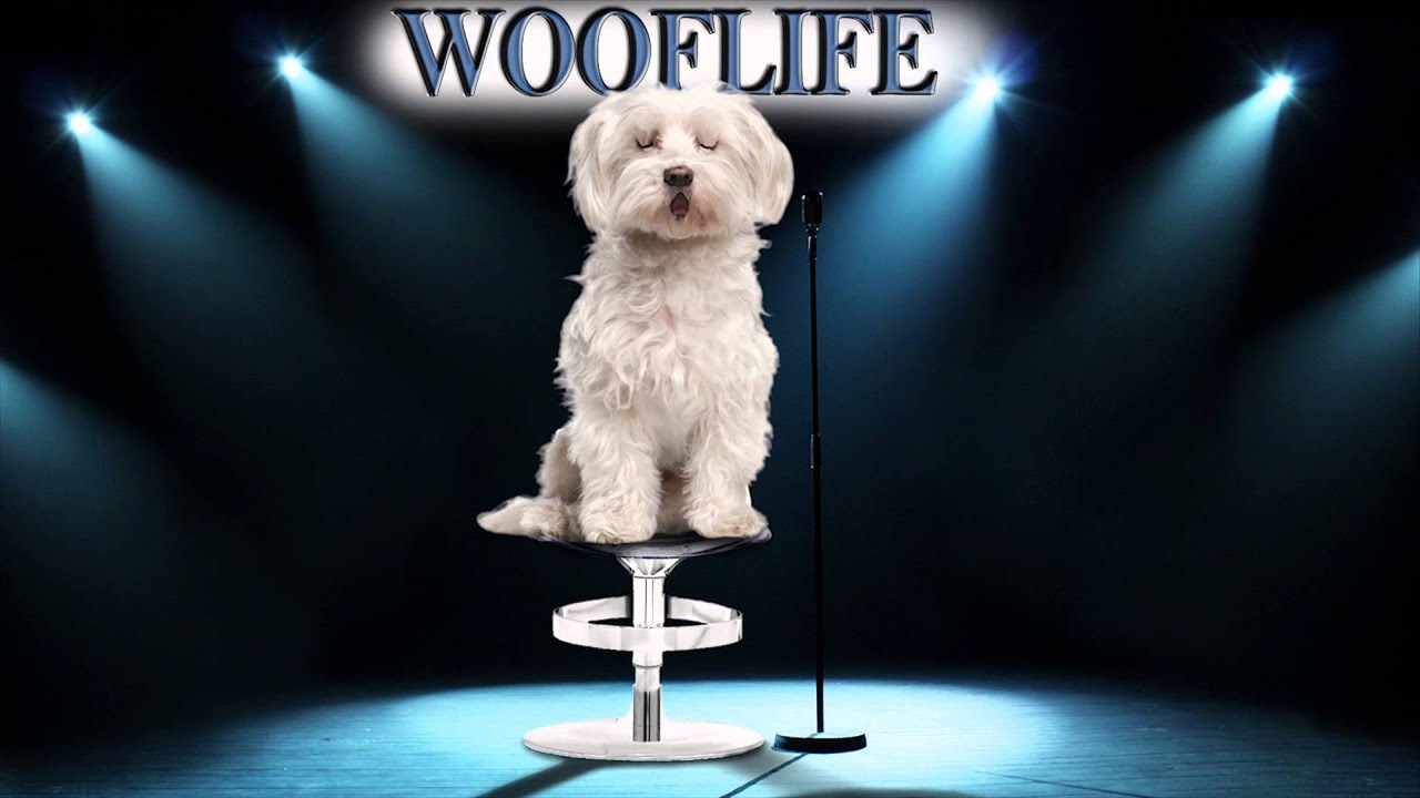 WOOFLIFE - PRESENTED TO KIAN EGAN (WESTLIFE) ON BBC IRELAND