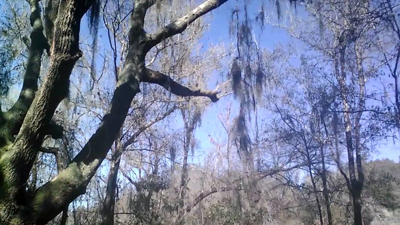 tampax compak I was HOAXED today!