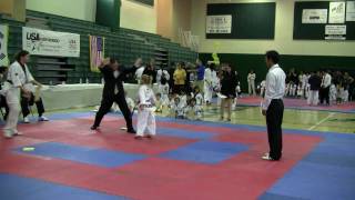 6 Year Old Female Tae Kwon Do Board Breaking Gold Medalist