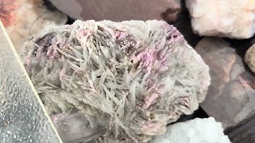 Beach Metal Detecting short video