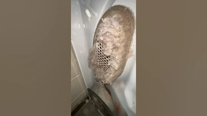 Dryer vent masterpiece 🎼🐸✨ #oddlysatisfying #satisfyingvideo #cleaning