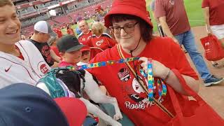 Bark in the Park at Reds Game 8-16-2022