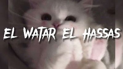 El Watar El Hassas - Sherine (arab song) - speed up | jxvnav class=