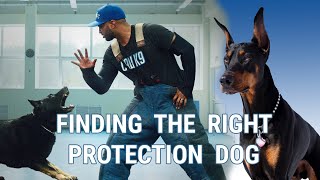 Find The Right Protection Dog