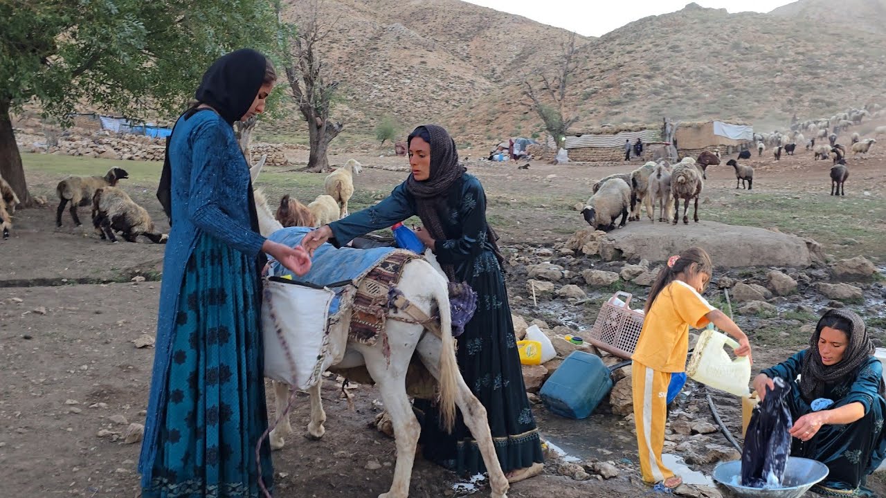 🚶‍♀️💧 How a Nomadic Girl Brings Water Home with Her Donkey 🐴 | Harsh Reality of Remote Life 