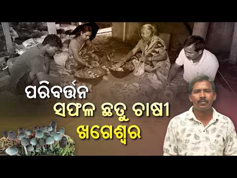 ସଫଳ ଛତୁ ଚାଷୀ ଖଗେଶ୍ୱରଙ୍କ ସଫଳତାର କାହାଣୀ | Mushroom Farming | Krishi Darshan | DD Odia