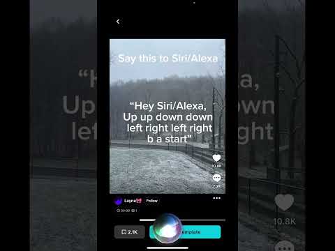 That Was Not Nice Siri