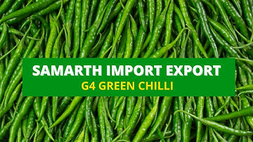 G4 GREEN CHILLI EXPORT