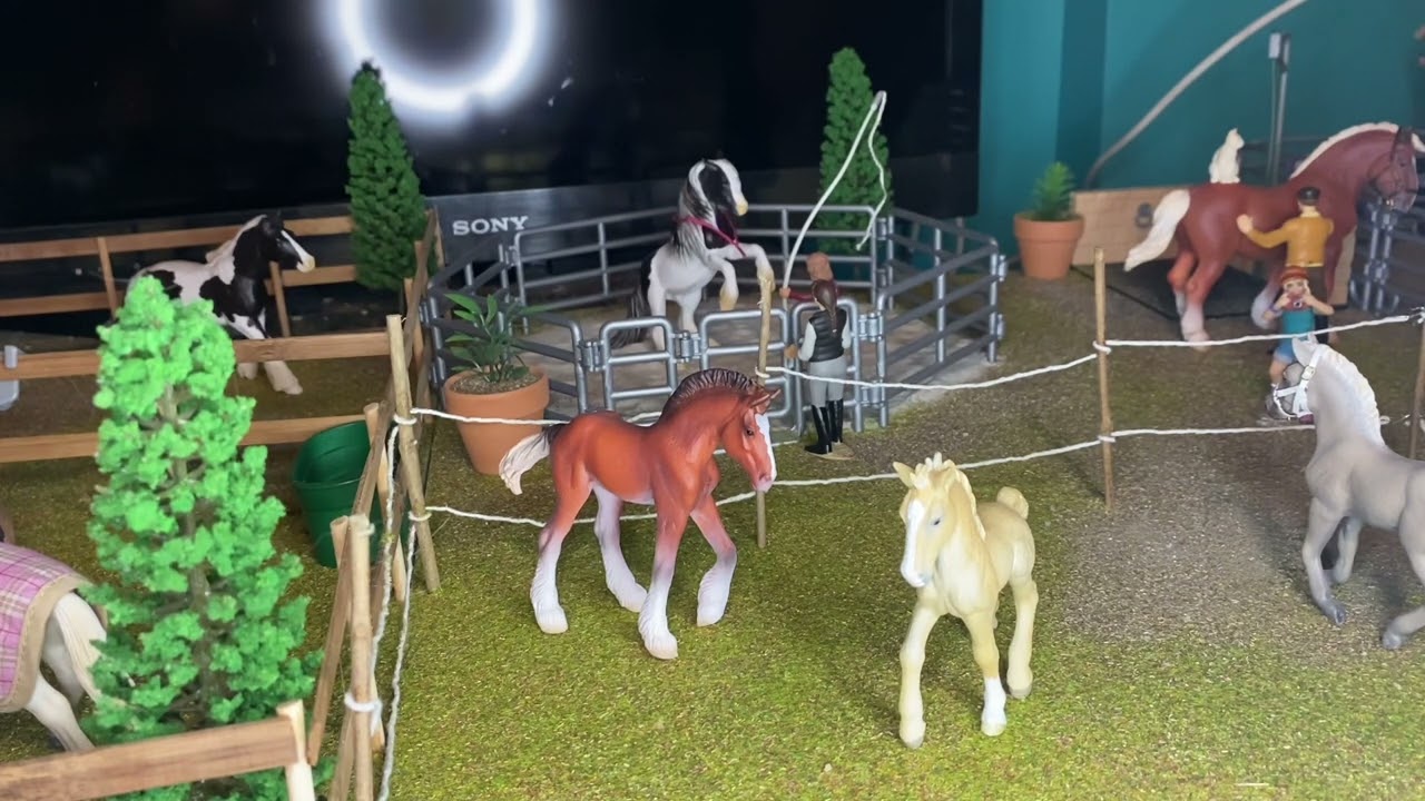 Visite de la maquette schleich (centre équestre collecta)
