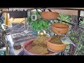 Früher Abend am Vogel-Spa (24.05.2026)