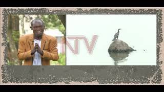 KUNO KWE KWAFFE :Ebyalo Buloba ne Maya gye byajja okuyitibwa bityo 