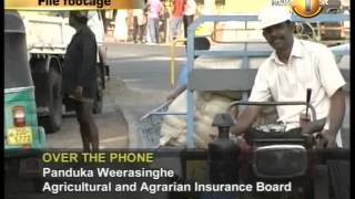 prime time sunrise mtv 12022014 01