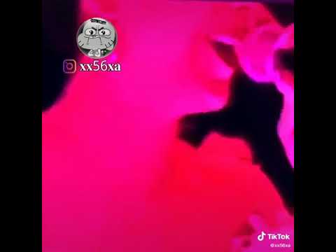 اسراء الاصيل تغني في حفلة اغنية عروسة