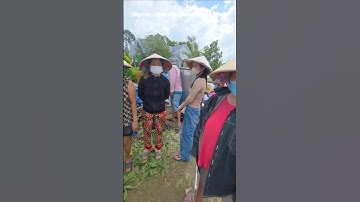 Dông lốc lúc rạng sáng tại Đồng Tháp nhiều nhà dân bay máy tôn sập toàn bộ căn nhà #huunguyenbt