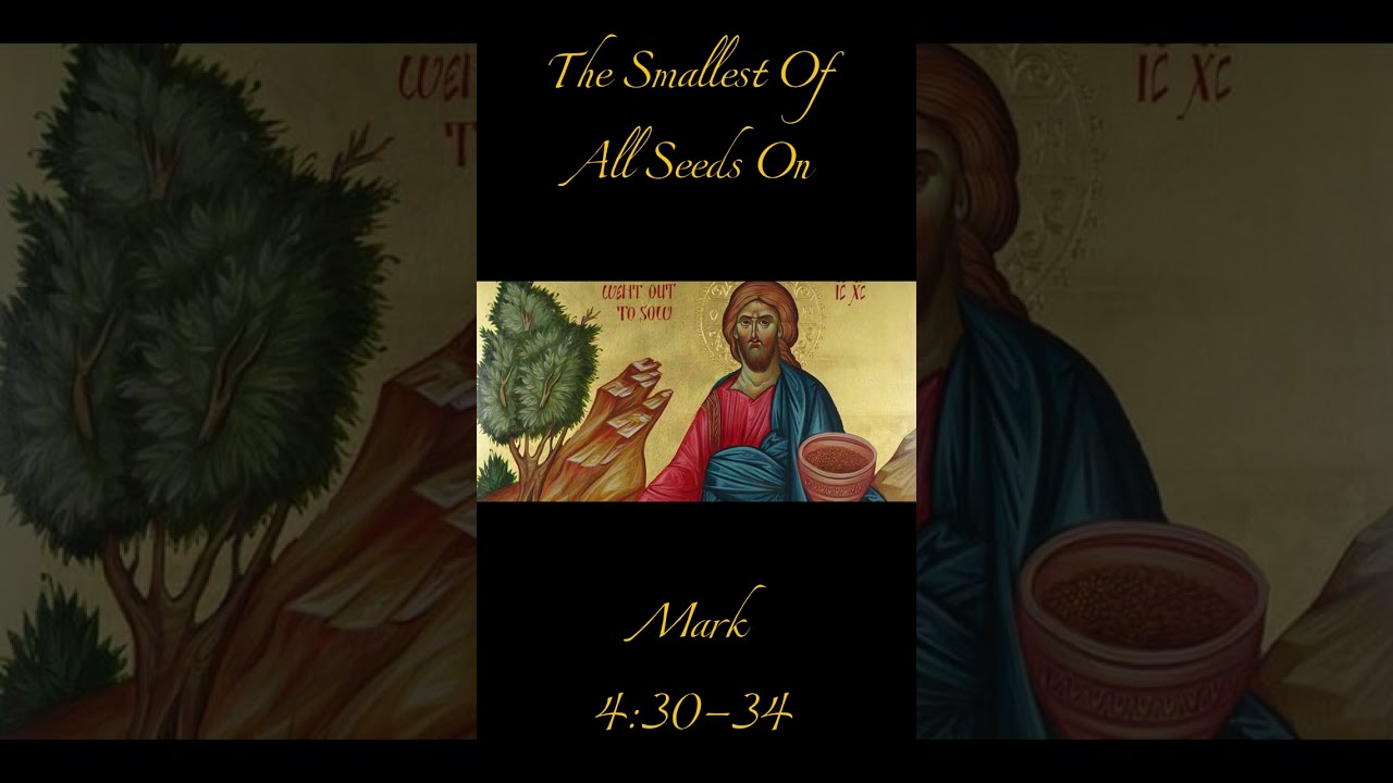 The Parables of the Mustard Seed and the Leaven | Mark 