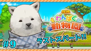 【探検わんぱく動物園】この動物園も立派になりました【Vtuber/うめまろ】#9