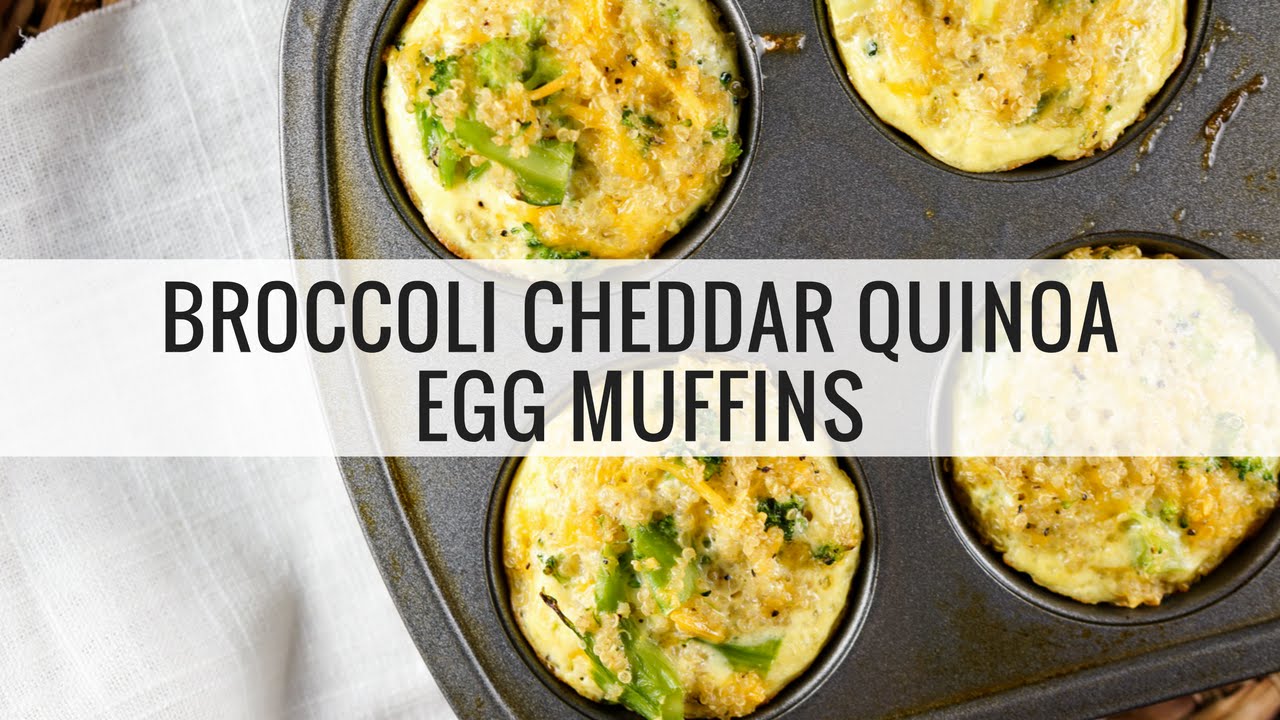 Broccoli Cheddar Quinoa Egg Muffins YouTube