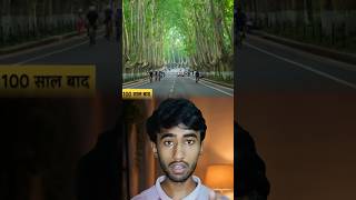China's Coolest Road | #shorts #heat #china