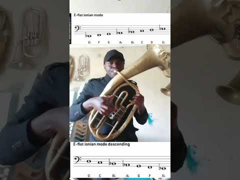Small tuba E-flat