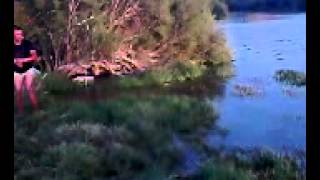 Florin Pecaru Pe Ebro