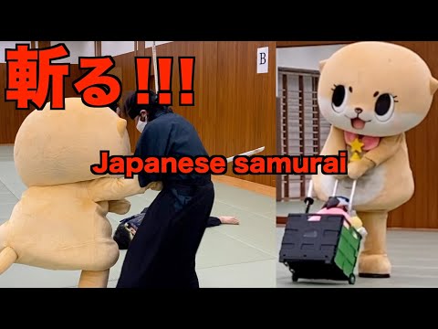 Chiitan 妖精ちぃたん - YouTube