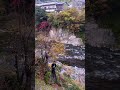 日本って美しい...③ #shorts