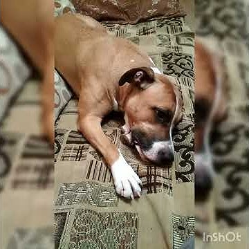 Отвали!! - YouTube