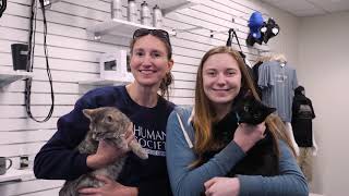 ACHS Adoption Event at Flow Subaru