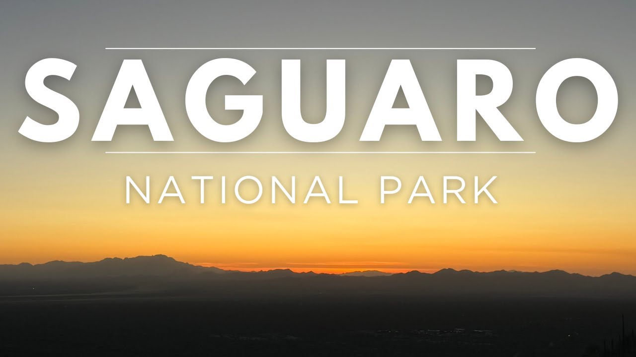 Saguaro National Park Full Day Guide | Arizona National Parks