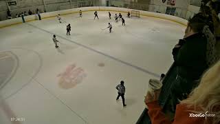 2026 Wheels of Fire: Jaguar PeeWee Lessmeister vs Chicago Stalions CSP2 - Highlights 