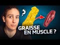 Que devient notre graisse quand on perd du poids ?
