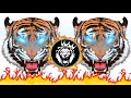 🙏songdj demo 👹 full remix 🎶🔥