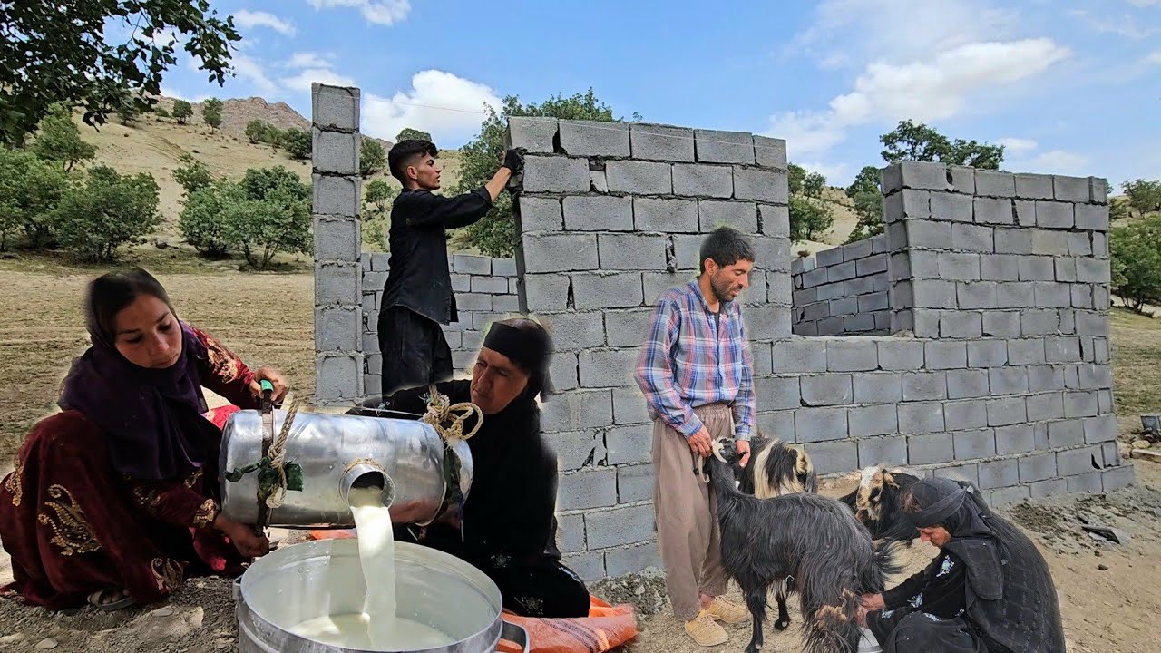 🐐 Milking the goats and 🏡 The final stage of building the hut wall