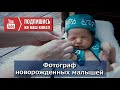 фотограф новорожденных малышей #фотограф #фотографноворожденных