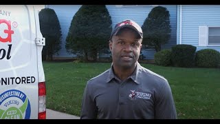 Keep Pests Out This Fall With Viking Pest Control