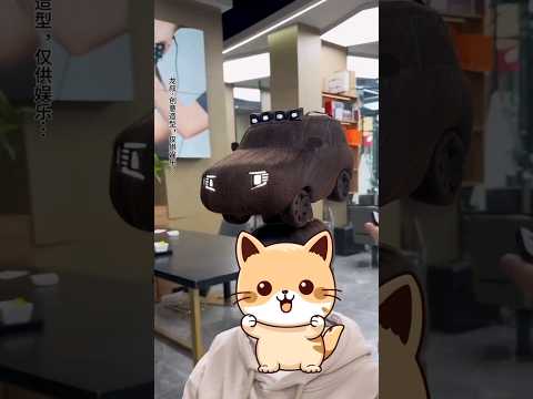 أغرب تسريحات شعر ستراها في حياتك شورتس اكسبلور Funny Shorts غرائب