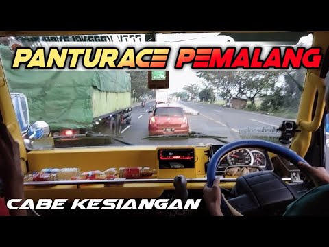 STUT CABE PEMALANG,