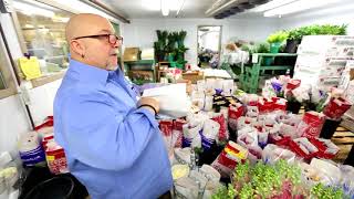 Busy day for florists (2014-02-12)