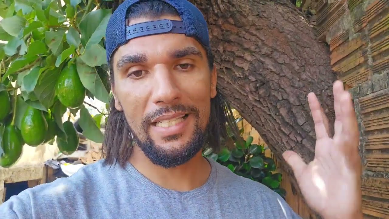 Como ter uma alimentação de alta qualidade cultivar o alimentos na sua casa 🌱🙌🏽💪🏽💪🏽