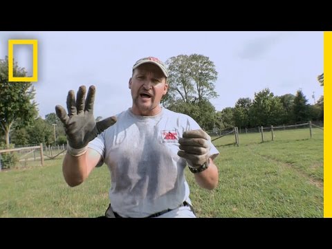 Feeding Frenzy | National Geographic